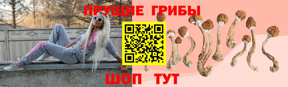 Псилоцибиновые грибы GOLDEN TEACHER Сертолово