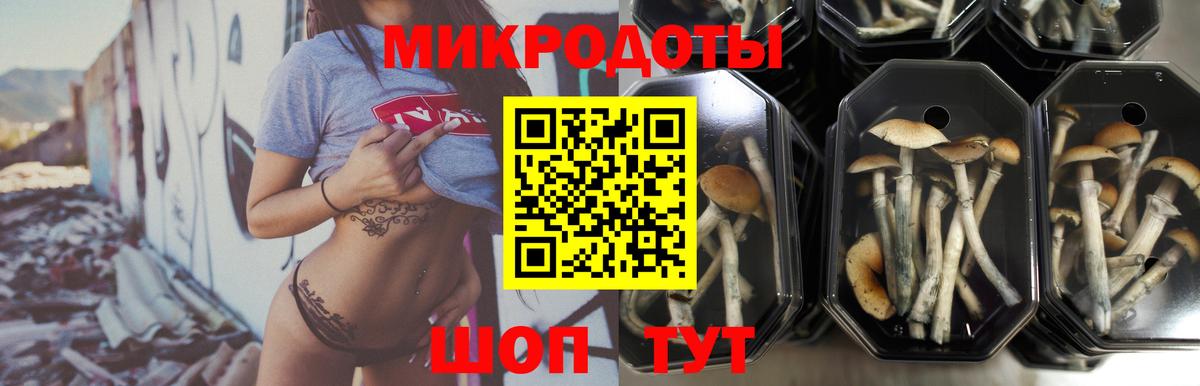 Сертолово  Галлюциногенные грибы Cubensis  где найти наркотики  Вход с VPN 